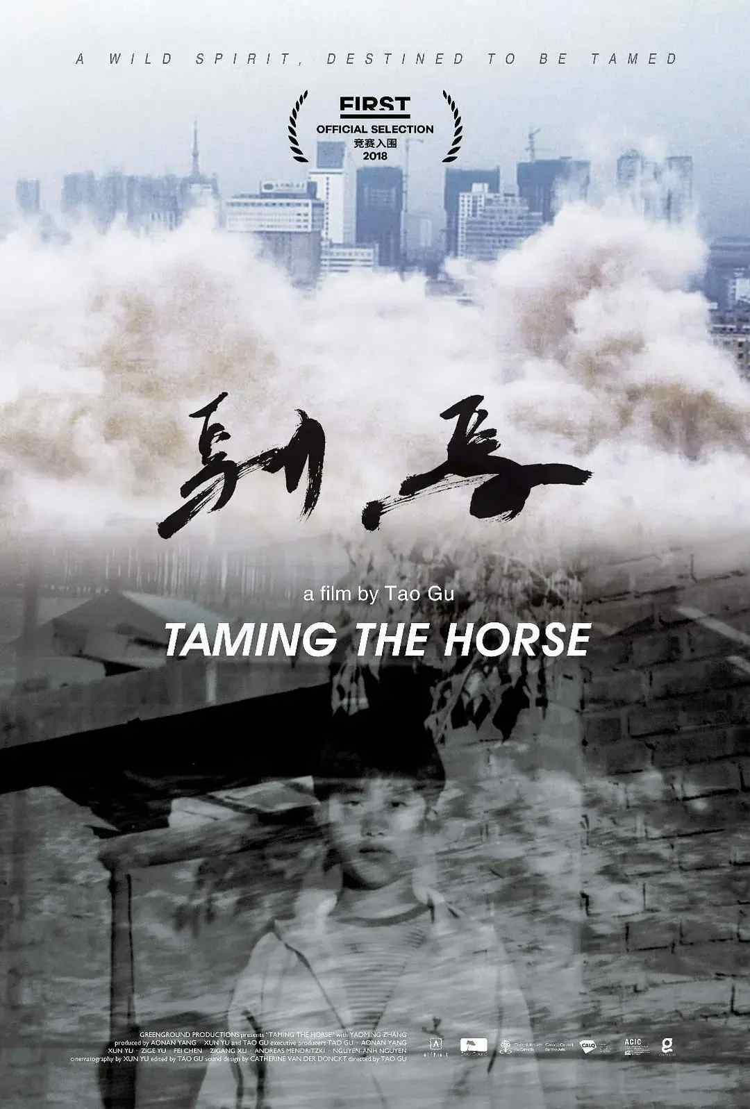 Taming the Horse